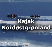 Kajak i Nordøstgrønland